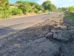 Selain Truk Batubara, Kendaraan Treler Bermuatan Semen Juga Biang Kerusakan Jalan. Masyarakat Minta Perbaikan Jalintengsum