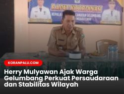 Warga Diminta Bijak Menyikapi Informasi, Camat Gelumbang Ingatkan Bahaya Hoaks