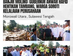 Banjir Molino: Gubernur Anwar Hafid Hentikan Tambang, Warga Soroti Pengawasan Lingkungan