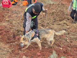 Pencarian Korban Longsor Cilacap, Polri Kerahkan Anjing Pelacak K9