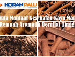 Sejuta Manfaat Kesehatan Kayu Manis, Rempah Aromatik Bernilai Tinggi