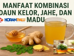 Kombinasi Daun Kelor, Jahe, dan Madu Manfaat Dahsyat untuk Kesehatan Alami