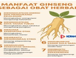 Manfaat Ginseng sebagai Obat Herbal, Energi Alami yang Diakui Dunia
