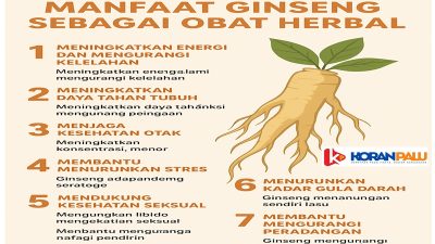 Manfaat Ginseng sebagai Obat Herbal, Energi Alami yang Diakui Dunia