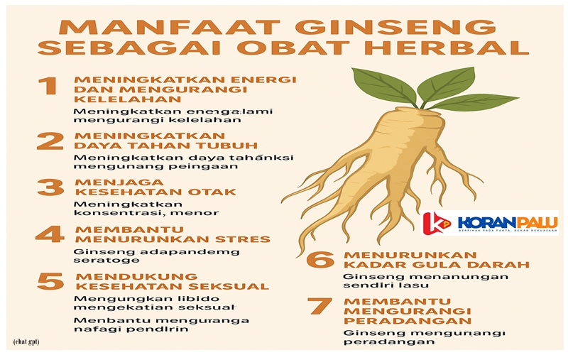 Manfaat Ginseng sebagai Obat Herbal, Energi Alami yang Diakui Dunia