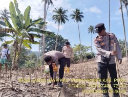 Dukung Program Pemerintah, Polsek Poso Pesisir Dorong Produktivitas Petani