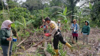 Dukung Program Pemerintah, Polsek Lore Selatan Bantu Penanaman Jagung Warga