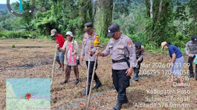 Proses penanaman jagung di Desa Bo'e, Kecamatan Pamona Selatan, Kabupaten Poso