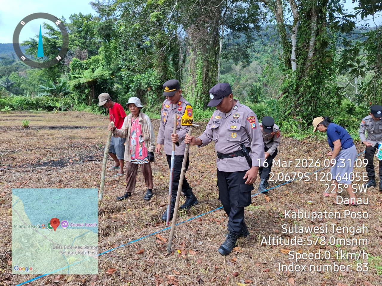 Proses penanaman jagung di Desa Bo'e, Kecamatan Pamona Selatan, Kabupaten Poso