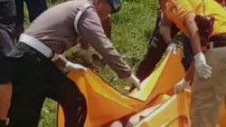 Jenazah Pria Tanpa Identitas Ditemukan di Saluran Irigasi Megaluh Jombang